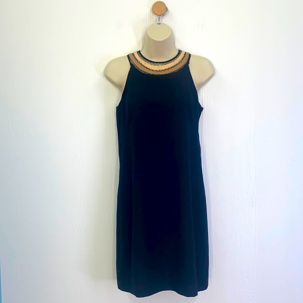 Ann Taylor - Sleeveless Black Dress With Cream and Beige Neck Design Size 2 P